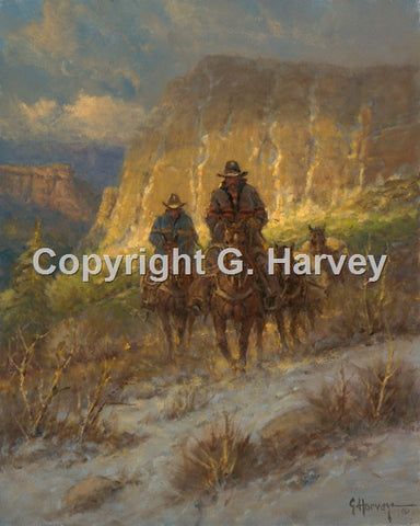 Soft Canyon Light